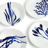 Royal Doulton Pacific Anniversary Plate Mixed Pattern 16cm (Set of 4) | Minimax