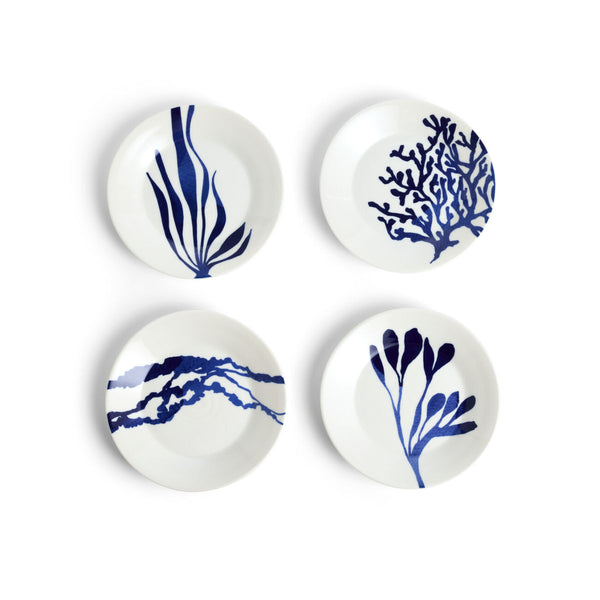 Royal Doulton Pacific Anniversary Plate Mixed Pattern 16cm (Set of 4) | Minimax