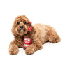 FuzzYard Barking Beer Plush | Minimax