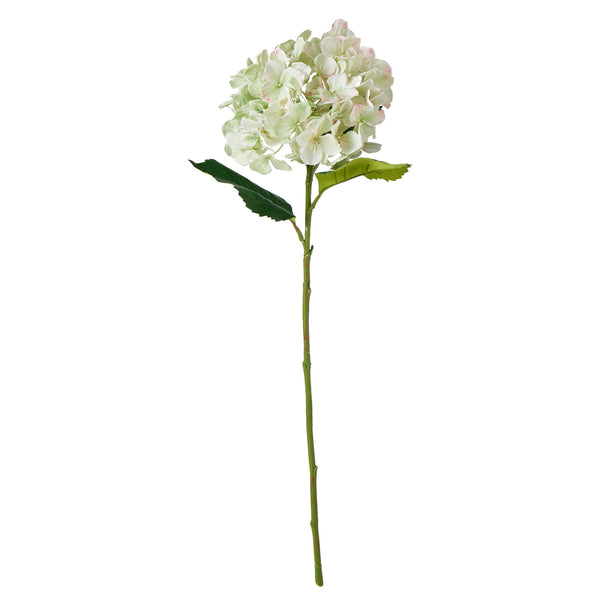 Rogue Hydrangea Stem White 25x25x65cm