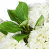 Rogue Garden Hydrangea Mix-Dahlia Bowl White & Glass 70x69x62cm